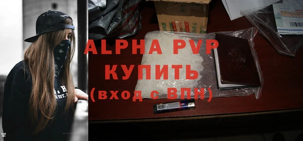 индика Кукмор