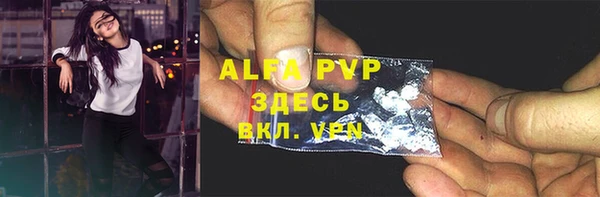индика Кукмор