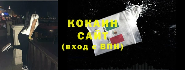 индика Кукмор