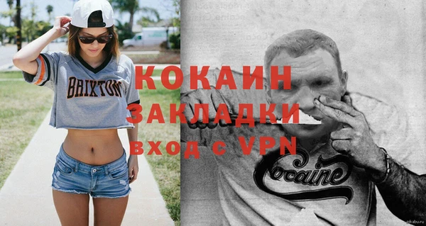 индика Кукмор