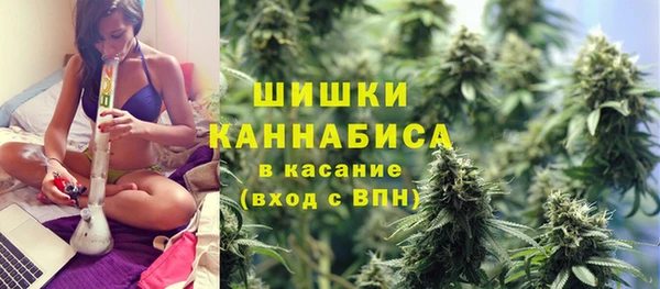 индика Кукмор