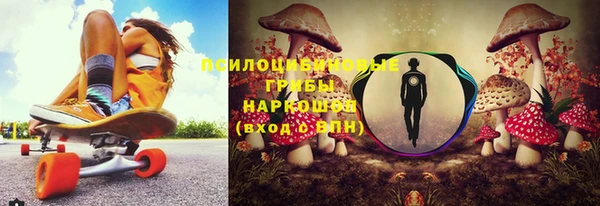 индика Кукмор