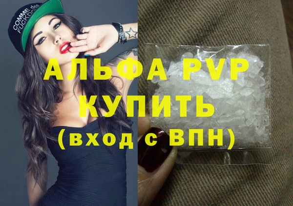 индика Кукмор