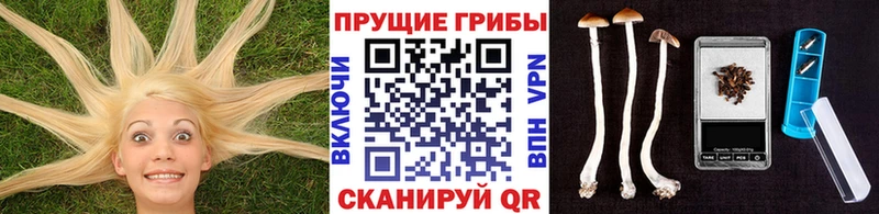 Галлюциногенные грибы ЛСД  Купить  Бутурлиновка 